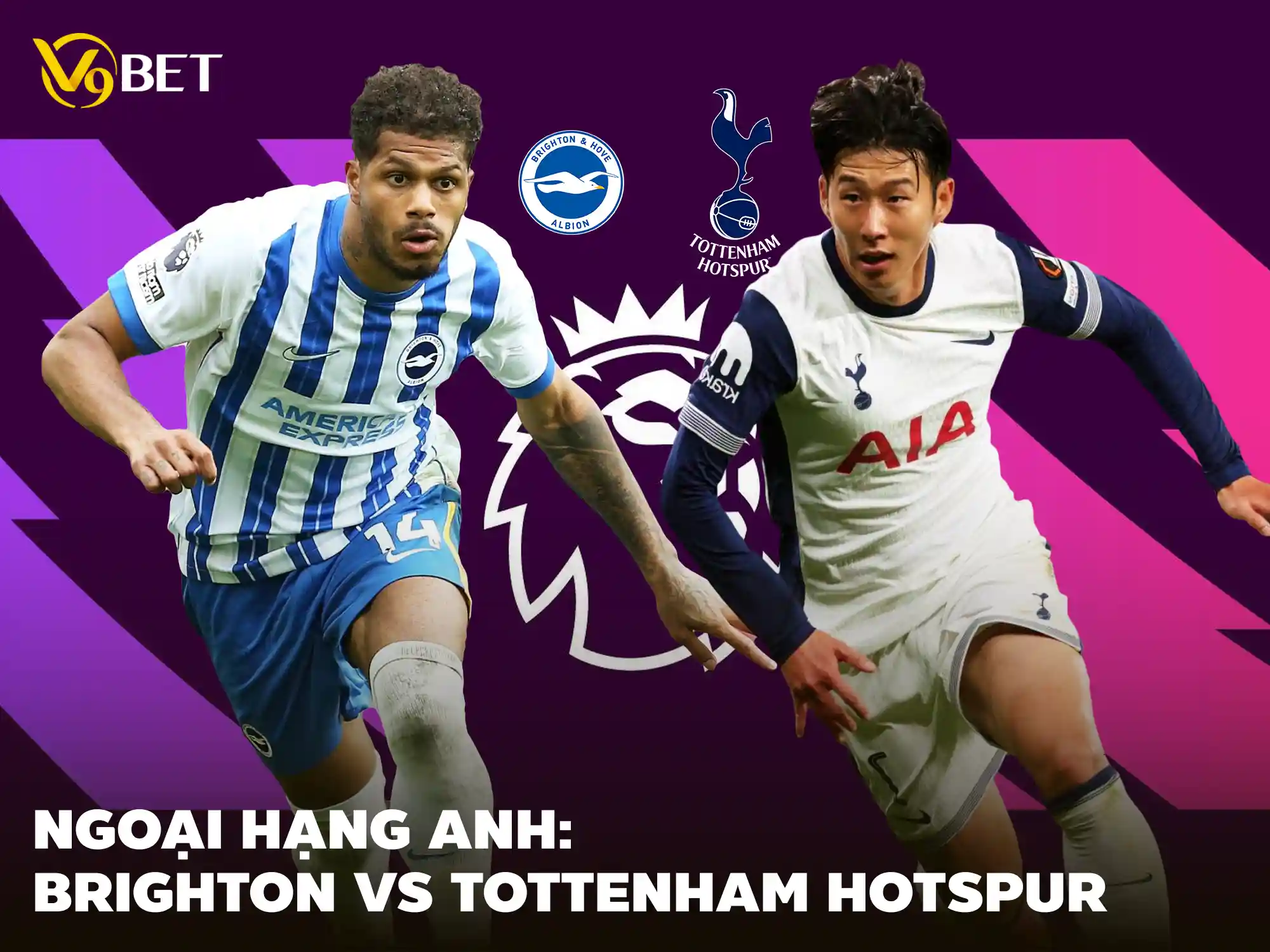 V9Bet soi kèo trận đấu Brighton vs Tottenham Spur vào ngày 6 tháng 10