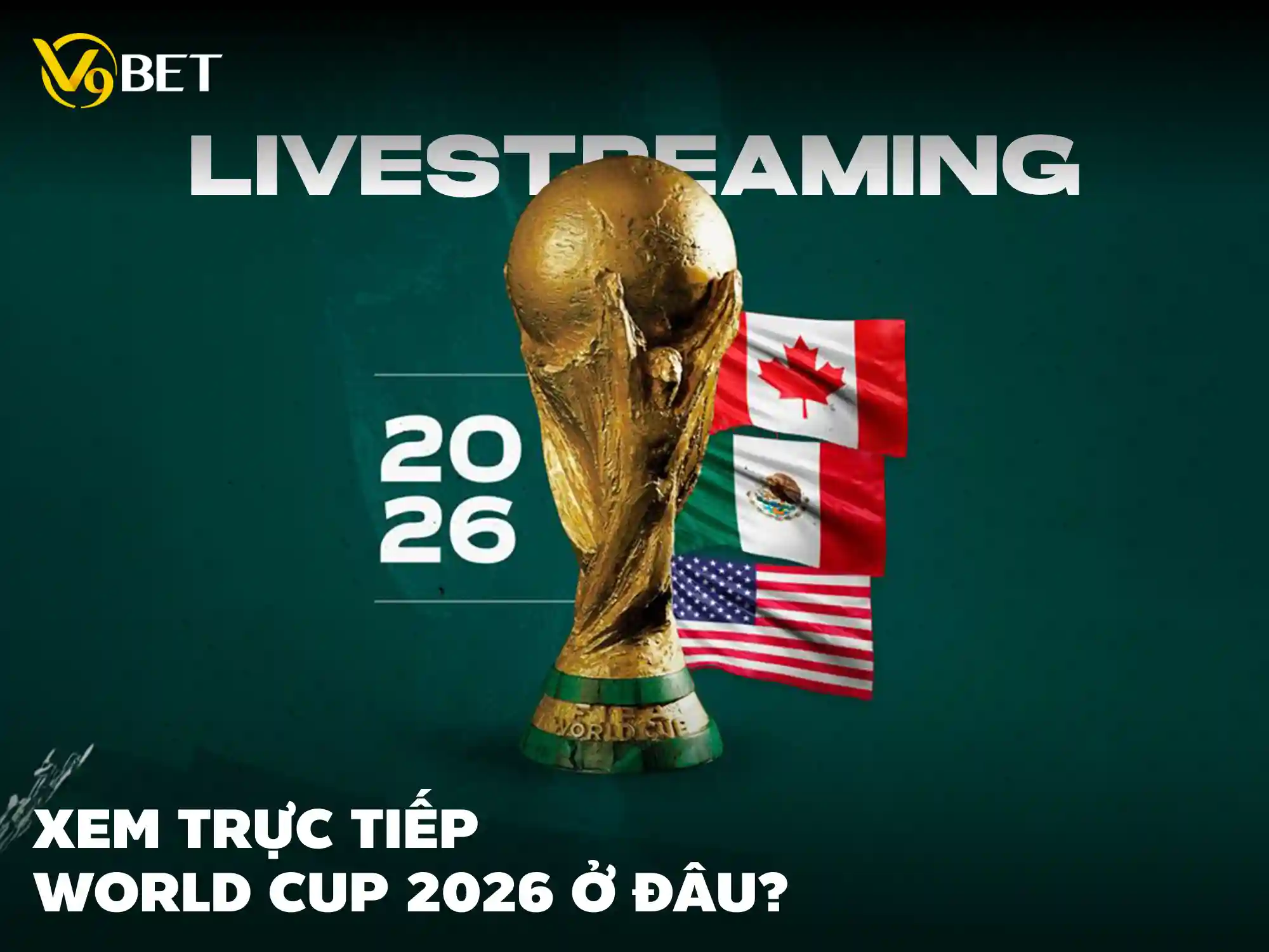 Xem trực tiếp world cup 2026 ở đâu? Kênh trực tiếp bóng đá HD được đề xuất