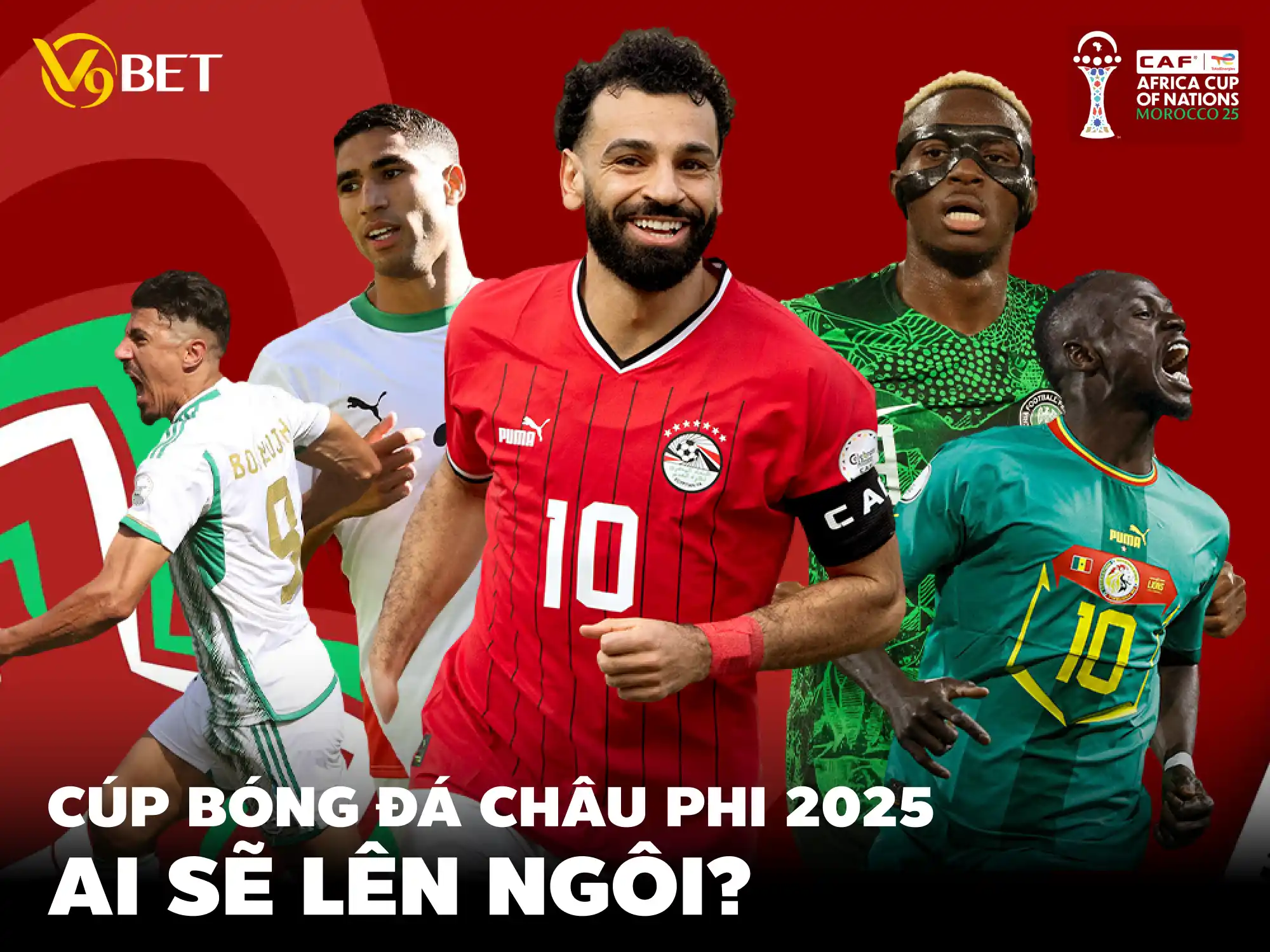 Top 5 Ứng Viên Sáng Giá Cho Chức Vô Địch Cúp Bóng Đá Châu Phi 2025