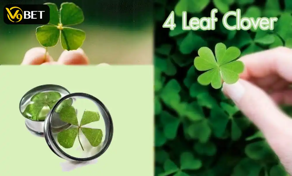 Four-leaf clover symbolizing good luck