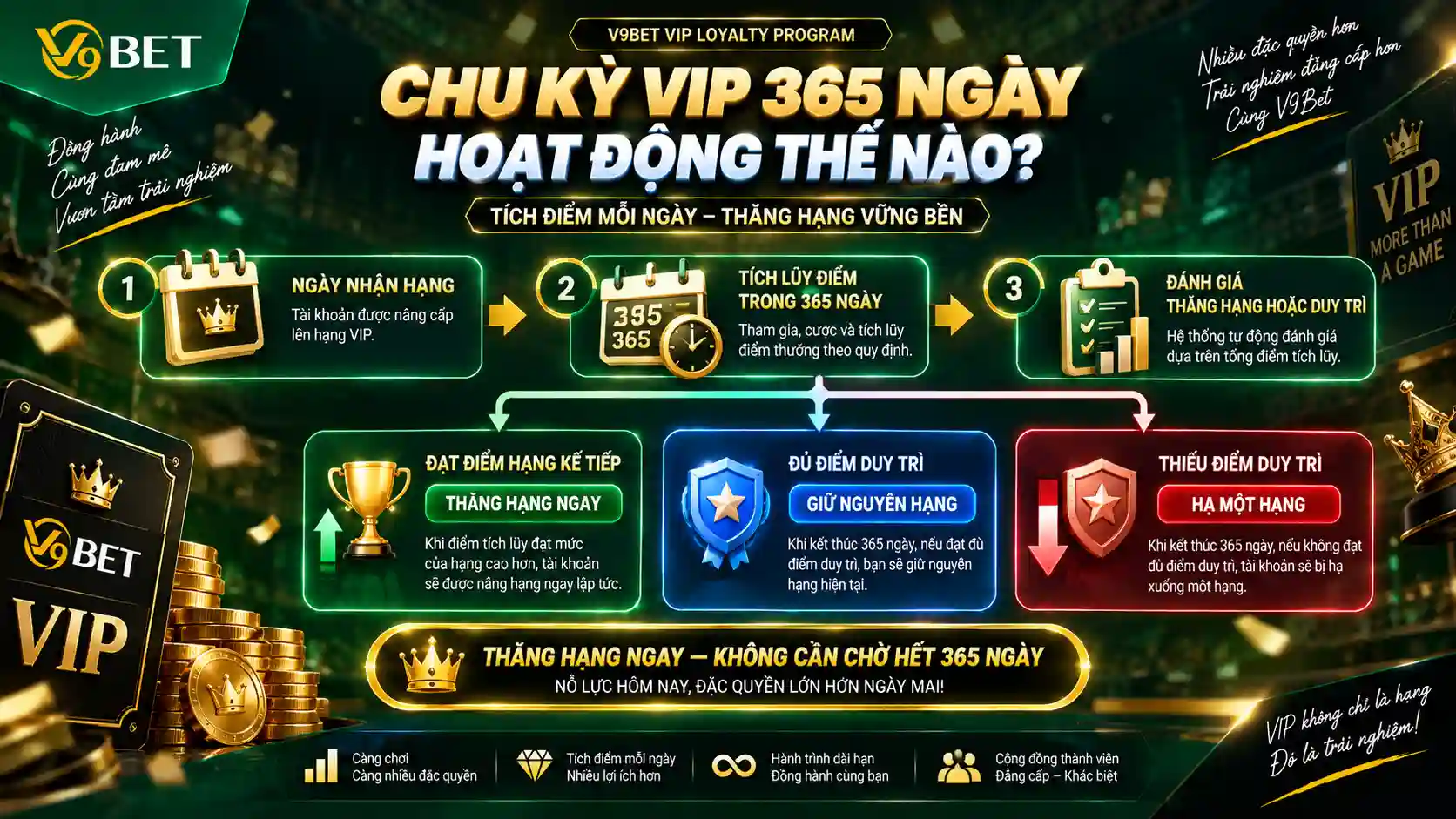 Chu kỳ duy trì VIP 365 ngày